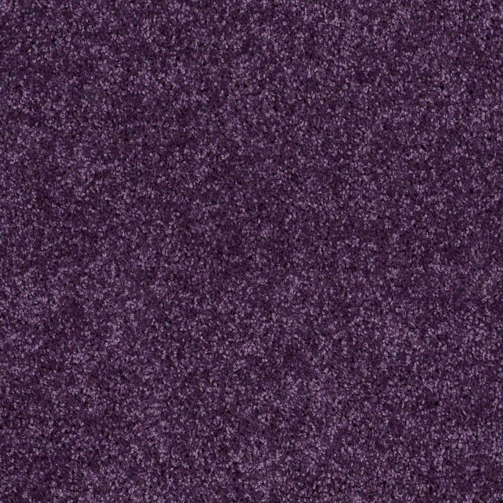 8 in. x 8 in. Texture Carpet Sample - Cottage Comforts - Color Wine Cup price history on PriceWatchPro