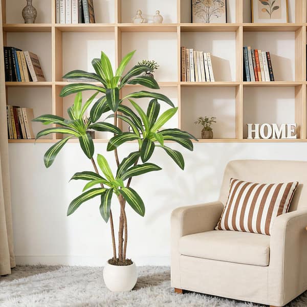 efeutute kälte Efeutute 'Golden Pothos' online kaufen main image 1