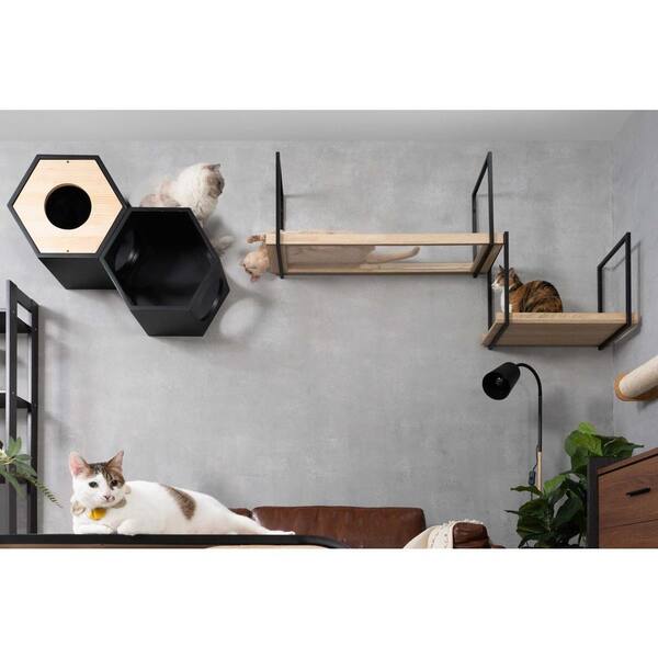 Cat Ramps On Walls