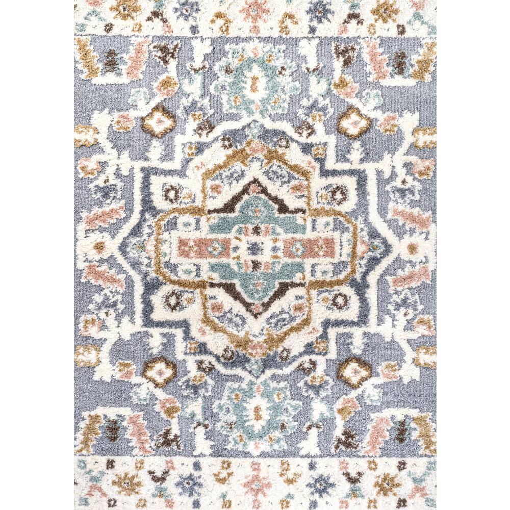 Aziza Gray and Multicolor Synthetic Medallion Area Rug