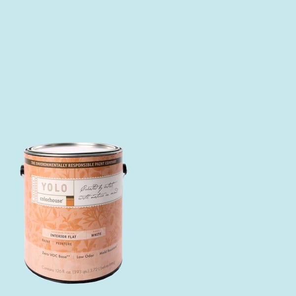 YOLO Colorhouse 1-gal. Dream .01 Flat Interior Paint-DISCONTINUED