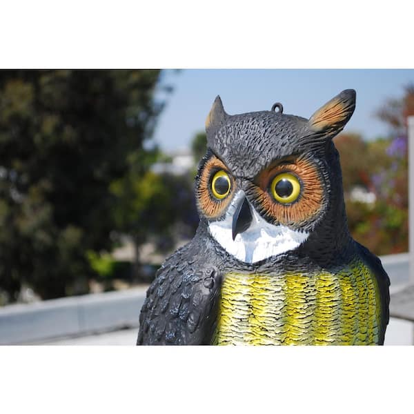 BIRD BARRIER Rotating Owl w/Sound - 4 Predator/Scare Sounds are