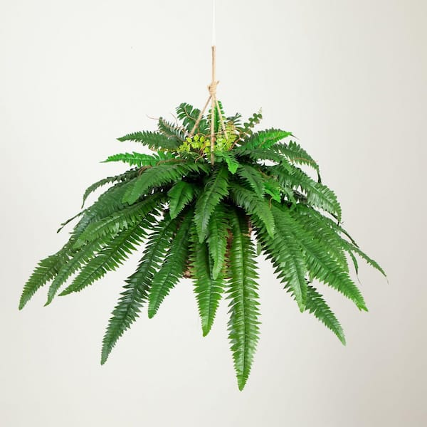 Large Artificial Boston Fern Hanging Basket