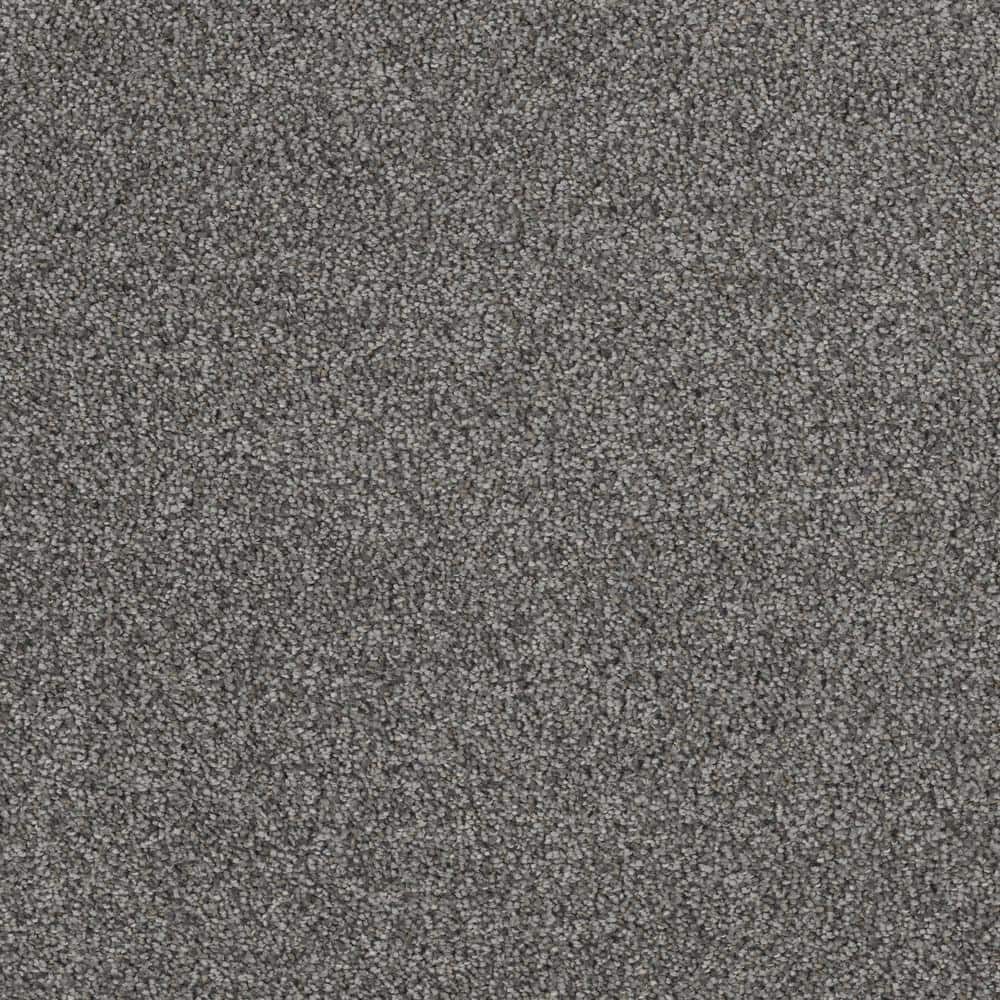 8 in. x  8 in. Texture Carpet Sample - Moonlight -Color Sky price history on PriceWatchPro