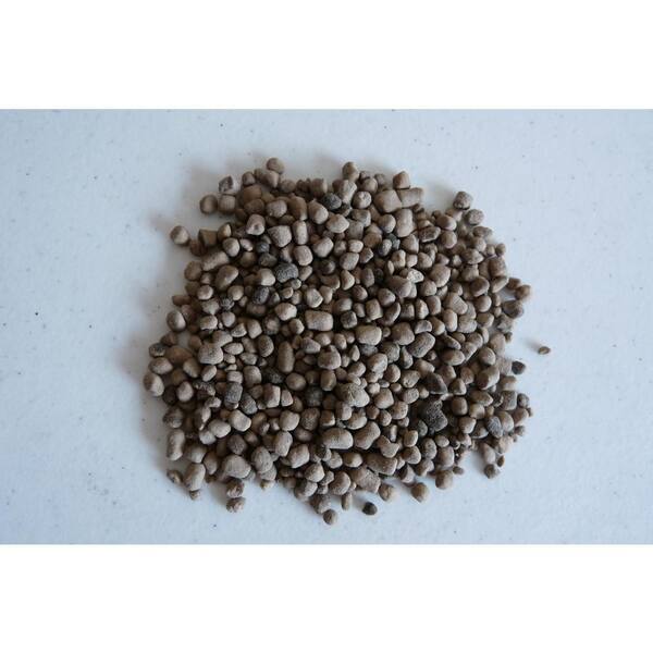 Is Gypsum Safe For Dogs