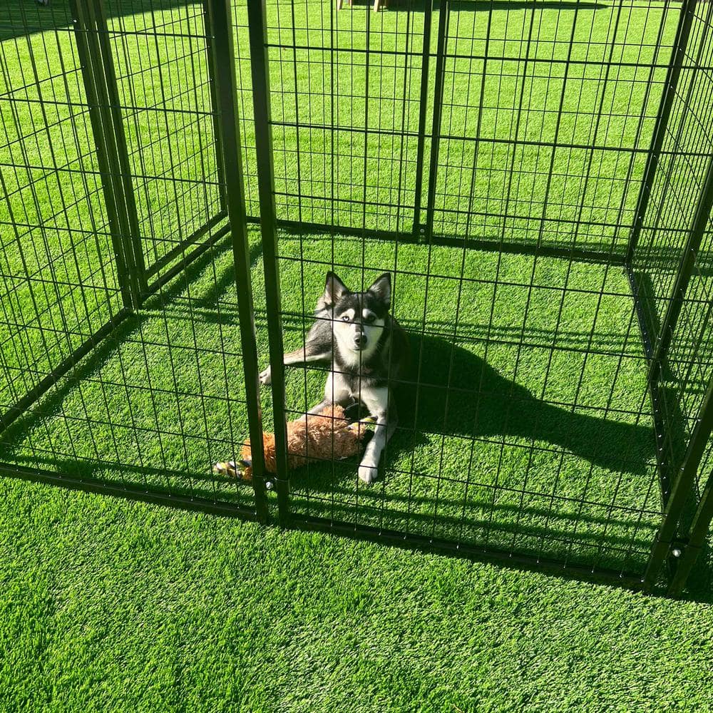 ALEKO Black Steel Expandable Kennel with Roof and Cover