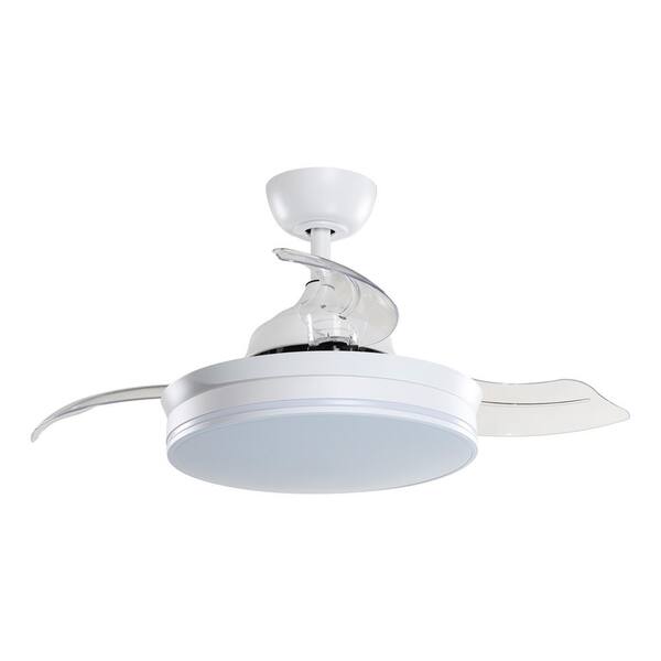 Parrot Uncle Ericksen 36 in. Indoor 