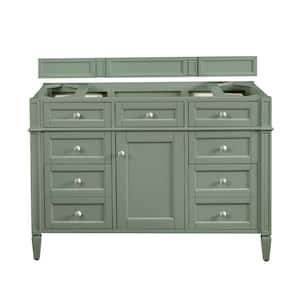 Brittany 46.9 in. W x 23.0 in. D x 32.6 in. H Single Bath Vanity Cabinet without Top in Smokey Celadon