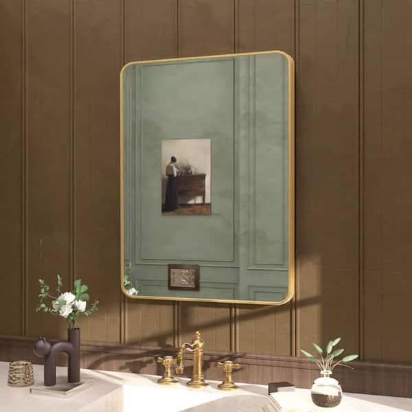 Cosy 24 in. W x 32 in. H Rectangular Framed Wall Bathroom Vanity Mirror in Brushed Gold
