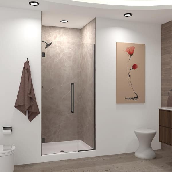 Transolid Elizabeth 42.5 in. W x 76 in. H Hinged Frameless Shower Door in Matte Black with Clear Glass