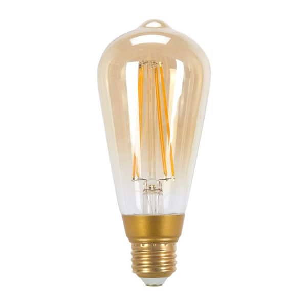 Globe Electric 60 Watt Equivalent ST19 Dimmable Straight Filament Vintage Edison LED Light Bulb, Warm Amber Light