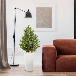 Indoor/Outdoor 4 ft. White Planter Artificial Olive Cone Topiary Tree