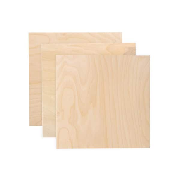 Walnut Hollow 1/8 in. x 1 ft. x 1 ft. Hardwood Plywood Project Panel (3-Pack)