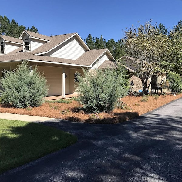 ATENGNES - Natural Longleaf Pine Straw Roll for Landscaping Covers Up to 125 sq. ft.