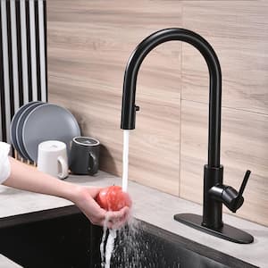 Single Handle Pull Out Sprayer Kitchen Faucet in Stainless Steel Matte Black