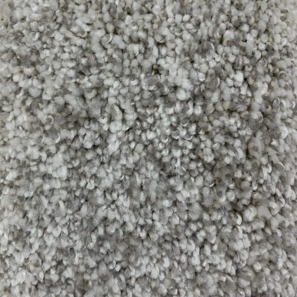 8 in. x 8 in. Texture Carpet Sample - Hazelton I - Color Appeal price history on PriceWatchPro