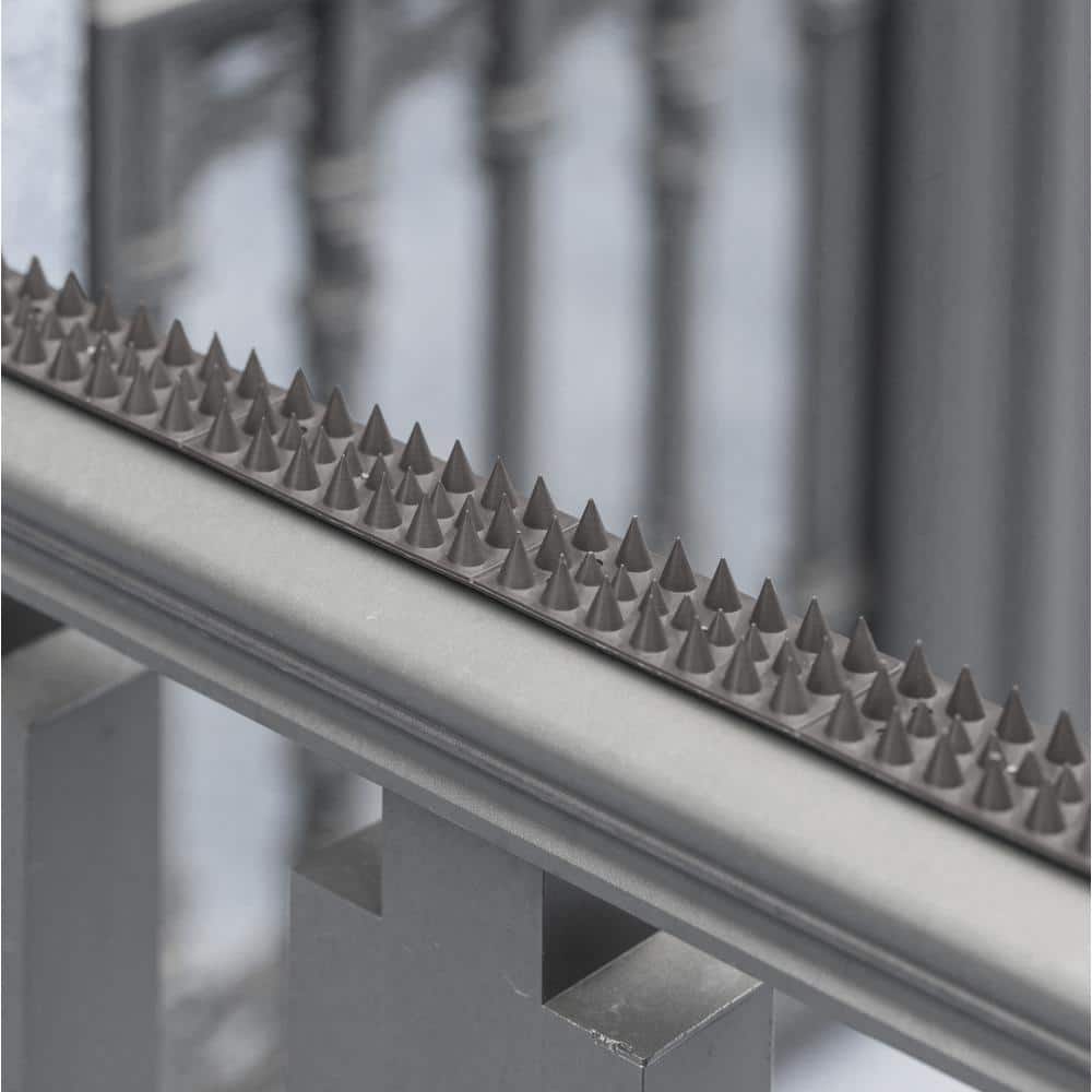 Pack of 10 Black Plastic Bird Deterrent Spikes for Fence and Wall