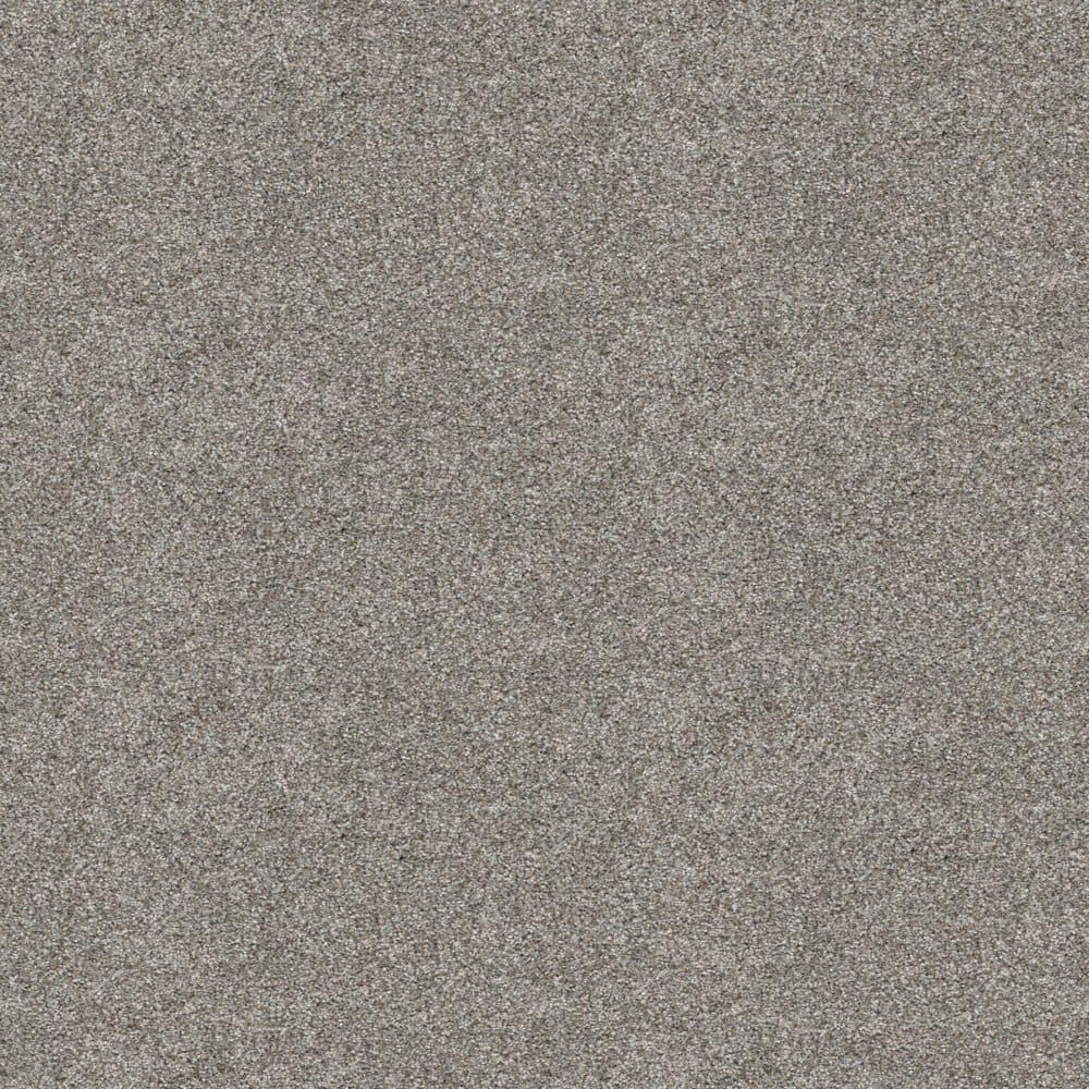 8 in. x 8 in. Texture Carpet Sample - Cuddle Cakes II - Color Crushed Rock price history on PriceWatchPro