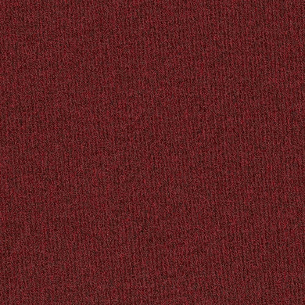 8 in. x 8 in. Loop Carpet Sample - Form Focus Tile - Color Fiery price history on PriceWatchPro
