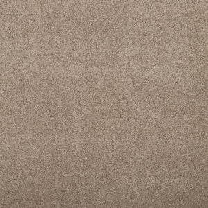 Hainsridge - Creekside Brown 68 oz. Triexta Texture Installed Carpet