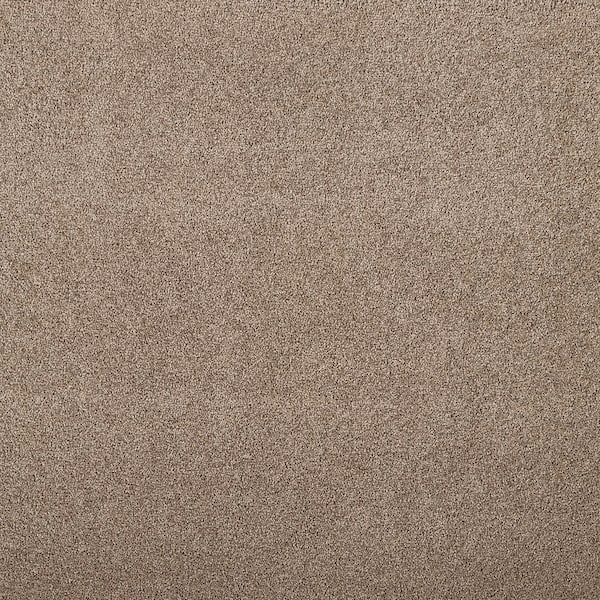 Hainsridge - Creekside Brown 68 oz. Triexta Texture Carpet - Installation Required