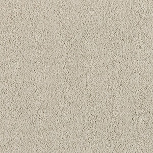 Radiant Retreat III Cloudy Gray- Gray 73 oz. Polyester Textured Installed Carpet