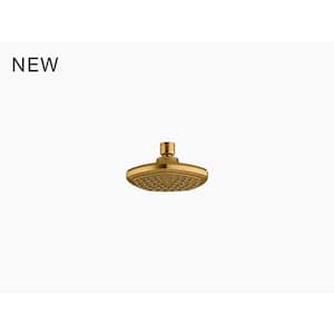 Occasion 1-Spray Patterns with 1.75 Gpm 5.25 in. Wall Mount Fixed Shower Head in Vibrant Brushed Moderne Brass