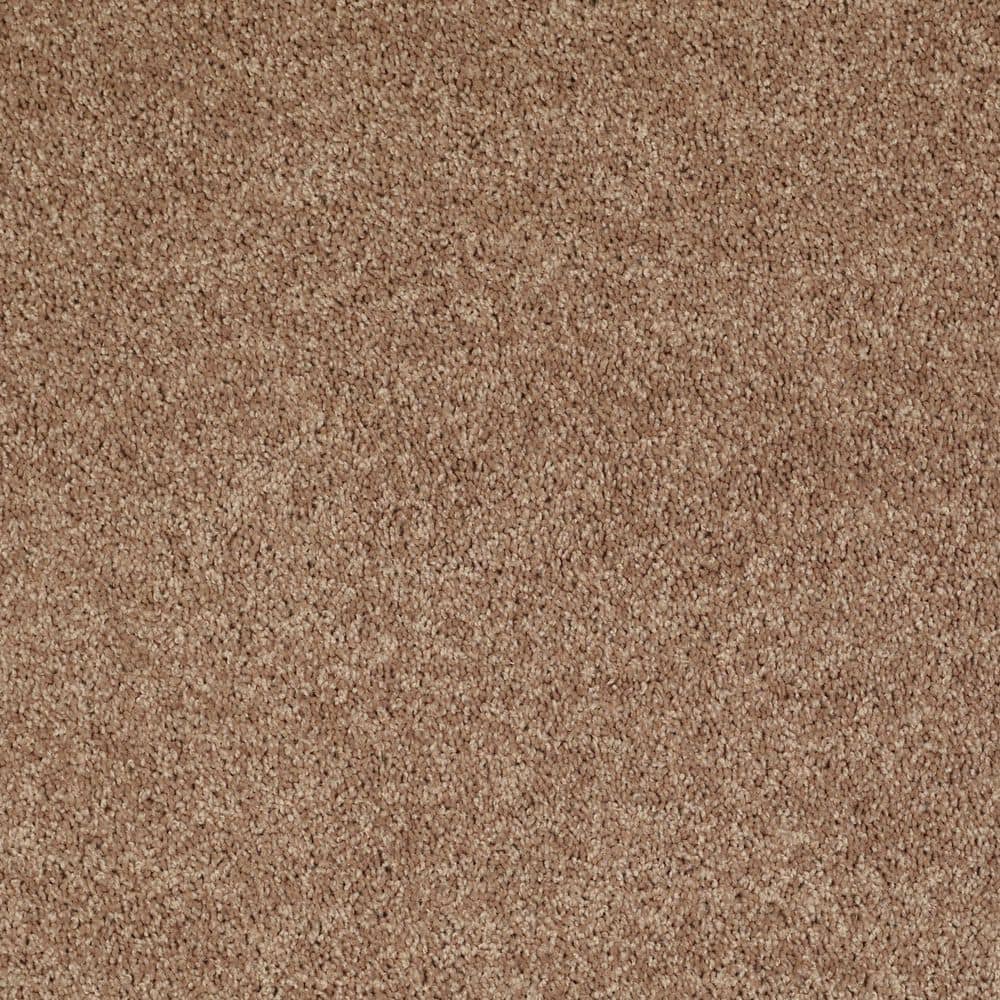 8 in. x 8 in. Texture Carpet Sample - Cottage Comforts - Color Graham Cracker price history on PriceWatchPro