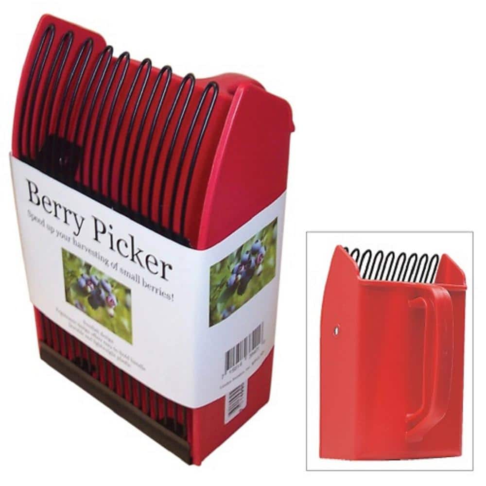 A Berry Comb Berry Picker Wooden 248006