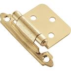 Hickory Hardware Polished Brass Surface Self-Closing Hinge (2-Pack ...