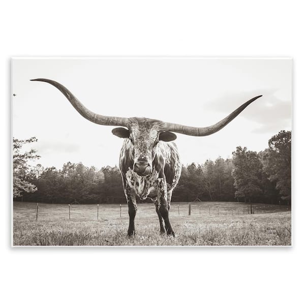 Longhorn Licking Lips by Nathan Larson Unframed Animal Graphic Art Print 13 in. x 19 in.