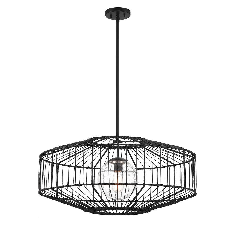 Matte Black Rattan and Glass Globe Pendant Light