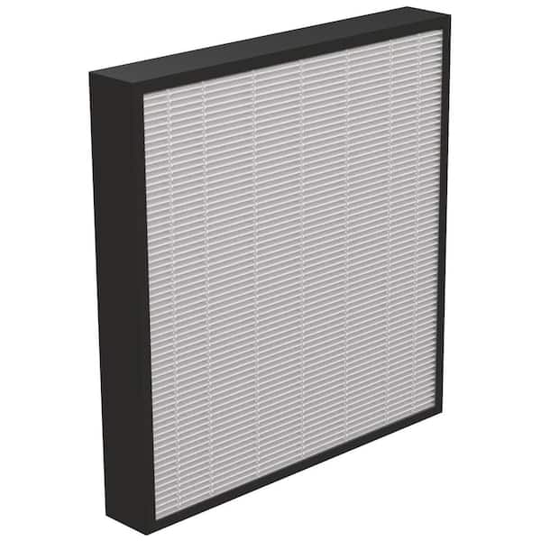 AeraMax Pro 2 in. Filter (2-Pack)