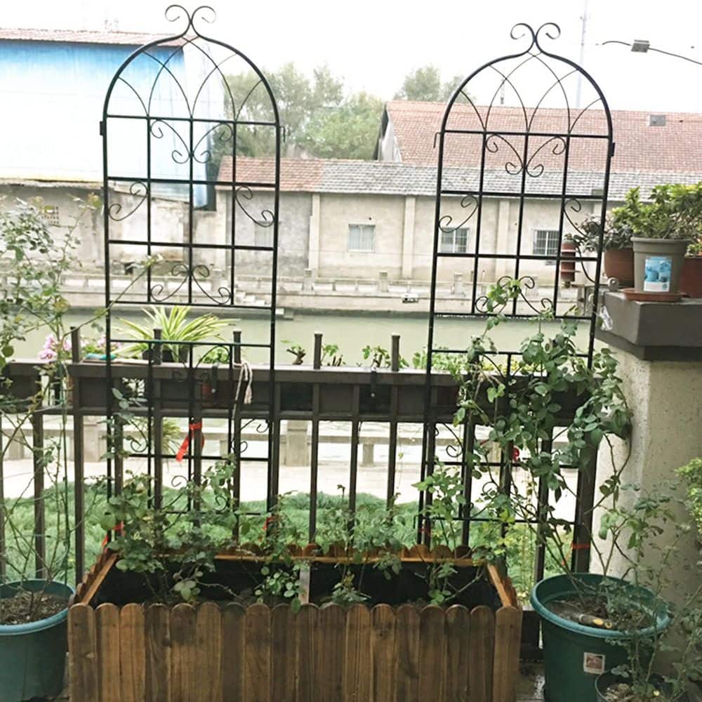 Black Metal Garden Trellis for Climbing Plants, 71" x 80"