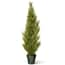 National Tree Company 60 in. Artificial Arborvitae Tree in Dark Green ...