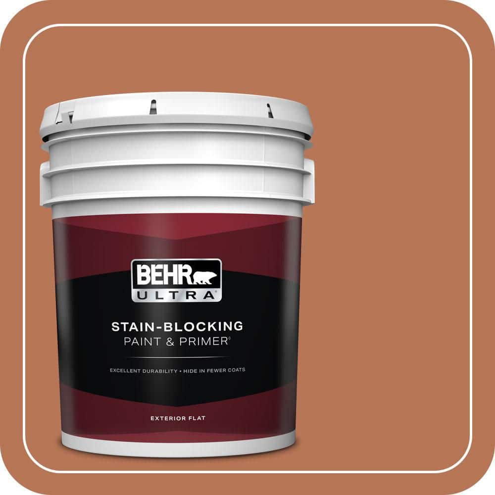 5 gal. Home Decorators Collection #HDC-AC-06 Campfire Blaze Flat Exterior Paint & Primer price history on PriceWatchPro
