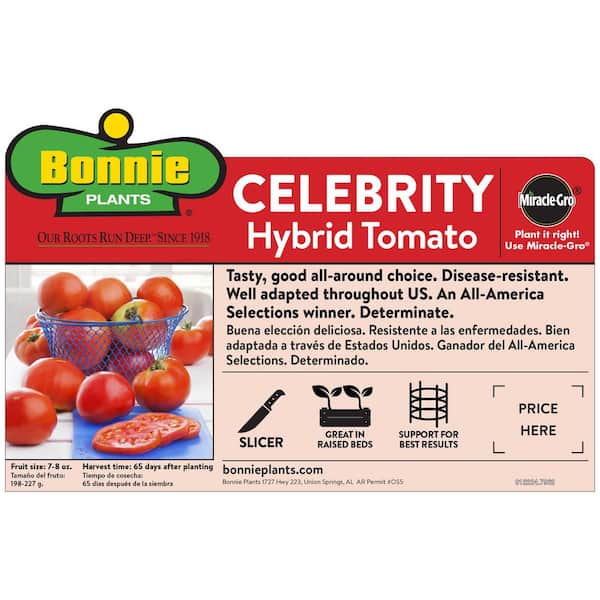 celebrity tomato plants