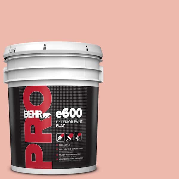 BEHR PRO 5 gal. #M170-3 Carnation Coral Flat Exterior Paint