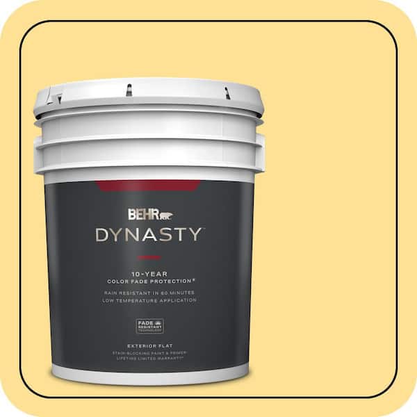 BEHR DYNASTY 5 gal. #330B-4 Cheerful Hue Flat Exterior Stain-Blocking Paint & Primer