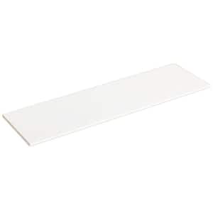 Selectives 48 in. L x 14 in. D White Laminate Wall Mounted Shelf