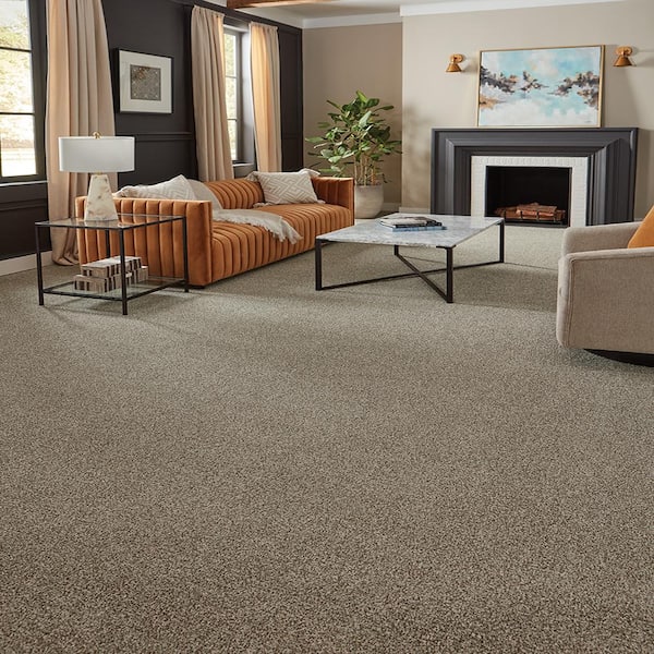Household Hues I Tree Bark Brown 31 oz. Polyester Textured Installed Carpet