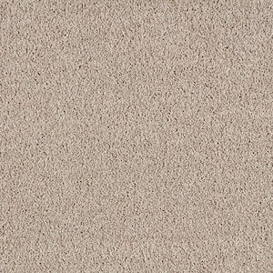 Gorrono Ranch II  - Hearth Beige - Brown 38 oz. Triexta Texture Installed Carpet