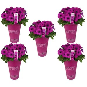 4.5 qt. Wave Petunia Annual Plant with Violet Flowers (5-Pack)