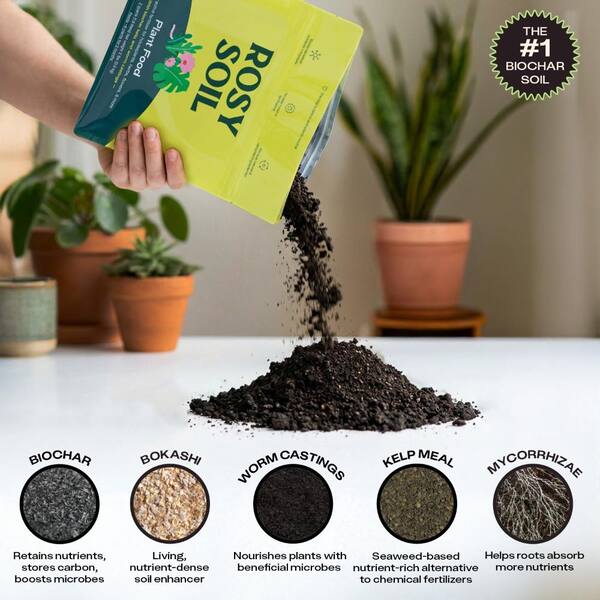 ROSY SOIL 8 qt. Houseplant Potting Mix, 4 qt. Cactus and Succulent Mix and  2 qt. Plant Food Combo - The Home Depot
