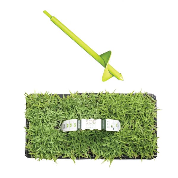 Sod Pods Zoysia Sod/Grass Plug 32-Count/SP Power Planter Bundle - Natural, Affordable Lawn Improvement