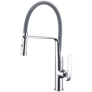 Accent Single-Handle Pull-Down Sprayer Kitchen Faucet in Polished Chrome