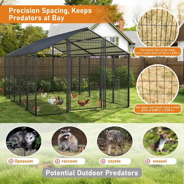 8 ft. x 10 ft. Outdoor Large Dog Kennel Chicken Coop with Galvanized Metal Roof for Medium and Large Dogs