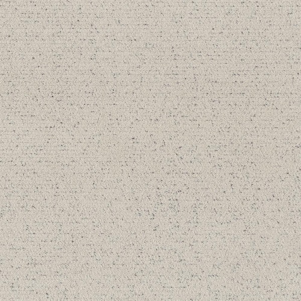 Lifeproof 8 in. x 8 in. Pattern Carpet Sample - Night Owl -Color Shells