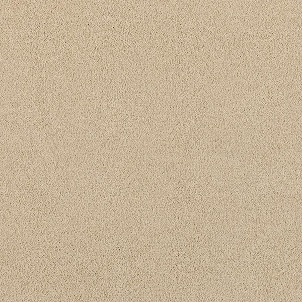 Home Decorators Collection Tailored Trends I Rich Beige 15 ft. 34 oz. Polyester Textured Carpet - Installation Required