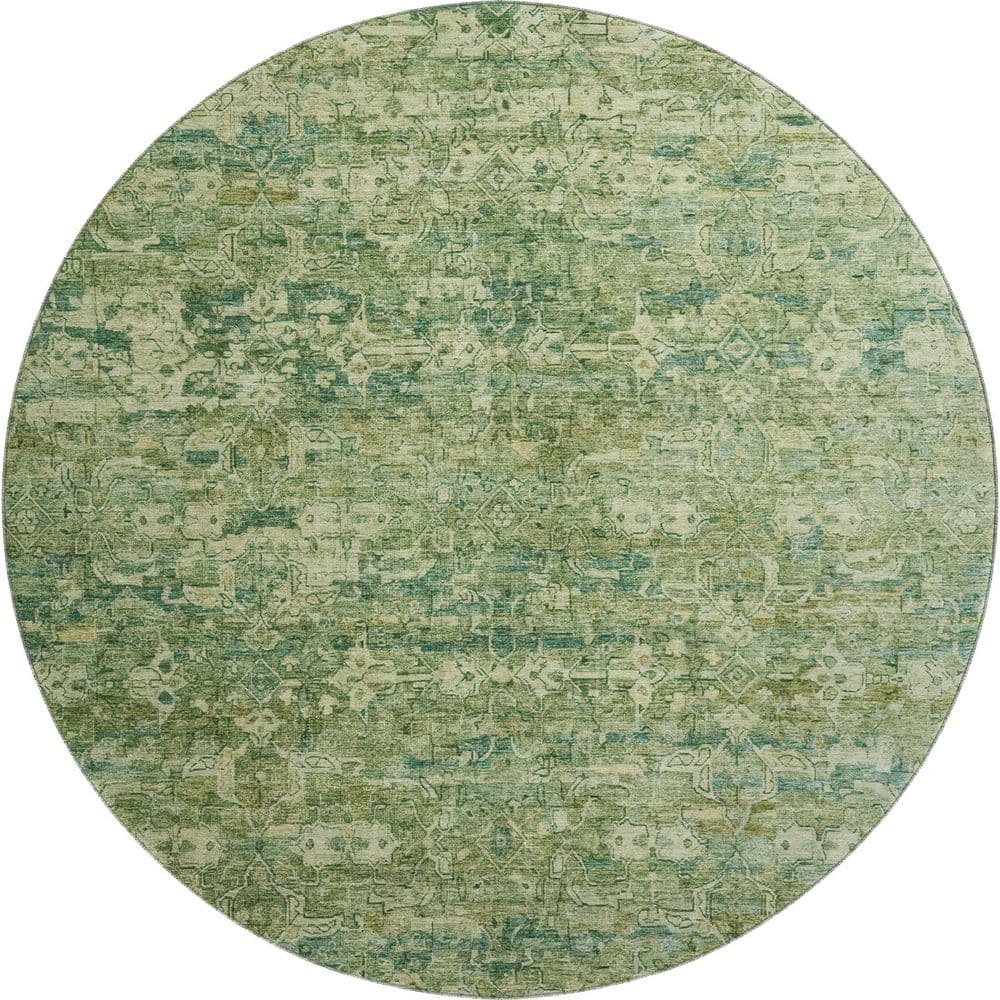 Mayfield Premium Machine Washable Abstract AMF2324 Olive 8 ft. x 8 ft. Round Rug price history on PriceWatchPro
